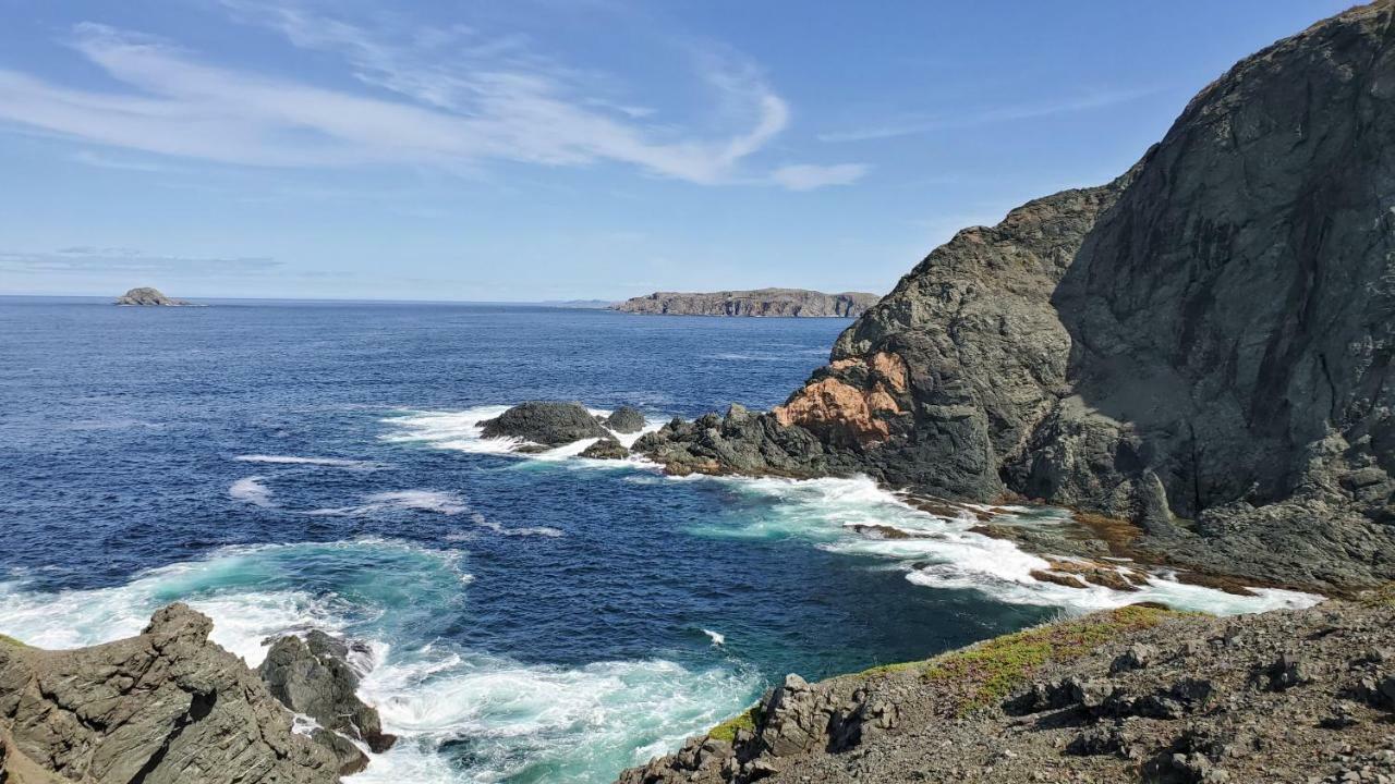 Hillside B&B Twillingate Ngoại thất bức ảnh