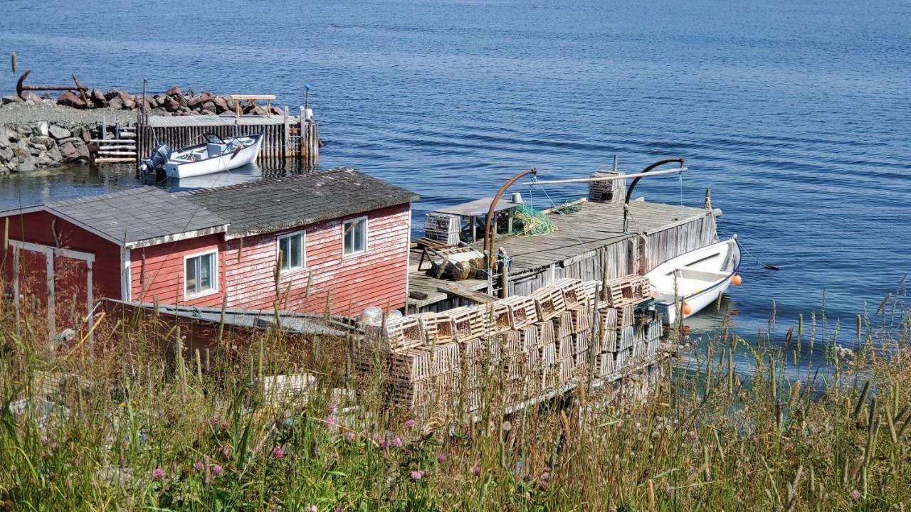 Hillside B&B Twillingate Ngoại thất bức ảnh