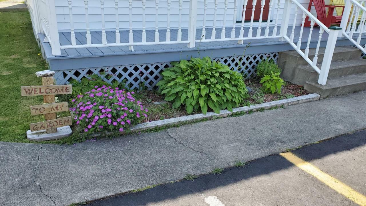 Hillside B&B Twillingate Ngoại thất bức ảnh