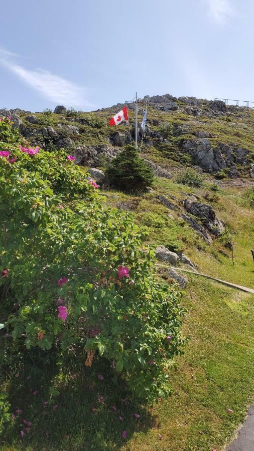 Hillside B&B Twillingate Ngoại thất bức ảnh